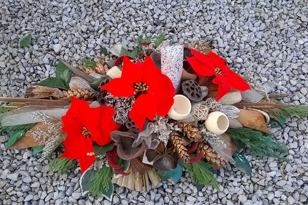 suho_cvijece3 suho_cvijece3