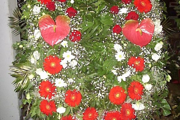 OLYMPUS DIGITAL CAMERA OLYMPUS DIGITAL CAMERA