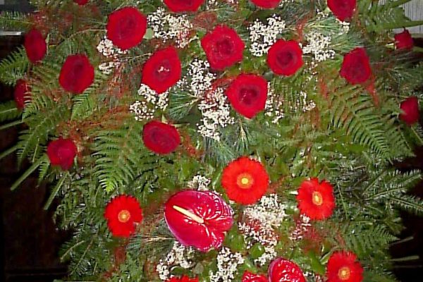 OLYMPUS DIGITAL CAMERA OLYMPUS DIGITAL CAMERA