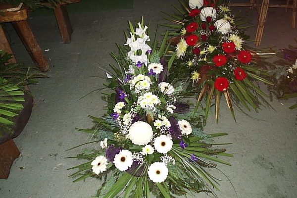 OLYMPUS DIGITAL CAMERA OLYMPUS DIGITAL CAMERA