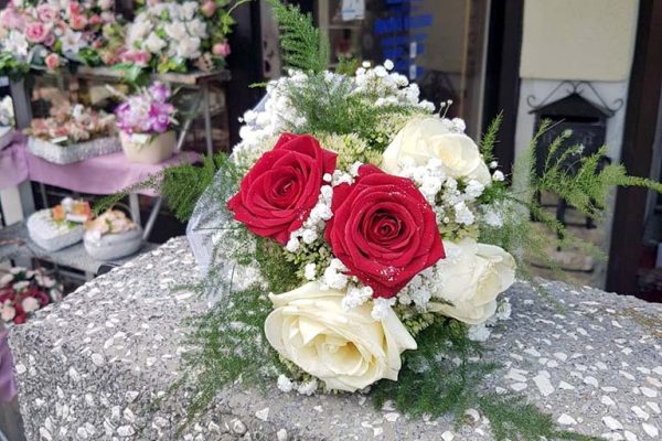 vjencani28 vjencani28